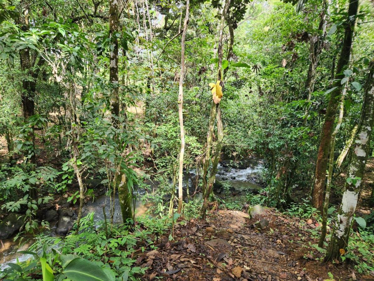 La Pina, Rio Celeste Aparthotel Екстериор снимка